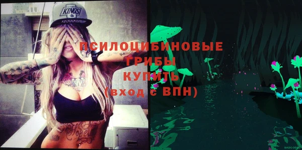 бошки Алексин